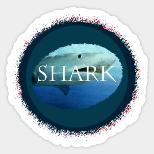 Shark Identification Sticker